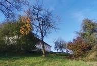 Vierkanthof in Alleinlage mit ca. 5 ha landwirtschaftliche Nutzfläche