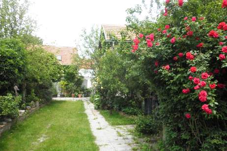 Traumhaftes, vollständig renoviertes Haus mit Garten in Dürnbach (Provisionsfrei), Haus-kauf, 345.000,€, 7472 Oberwart