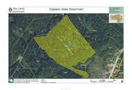 Großzügige Waldfläche nahe Thalersee
