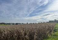 Landwirtschaftlicher Nutzgrund in Leonding Holzheim