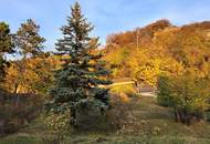 Baugrundstück mit Grünlandanteil (Eigengrund)