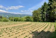 Attraktives Baugrundstück mit Entwicklungspotenzial – schöne Lage in St. Marein Nähe Wolfsberg