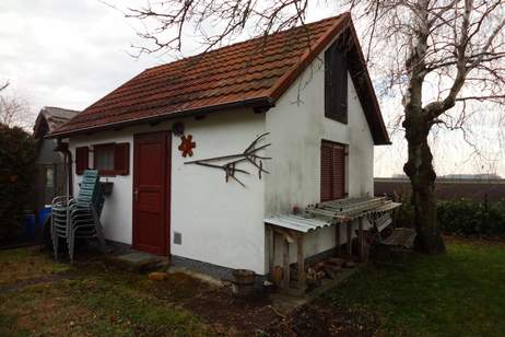 Gemütlicher Bungalow mit Vollkeller !, Haus-kauf, 275.000,€, 7161 Neusiedl am See