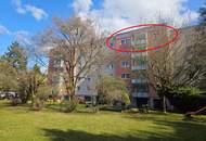 Eigentumswohnung Froschberg/Leharstraße