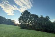 Verwilderter, mit alten Sorten bestückter Obstgarten im Moment als Wald gewidmet RODUNG bewilligt