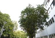 Dachgeschoß mit Weitblick!!! 3-Zimmer-Neubauwohnung in der Lobmeyrgasse beim KONGRESSPARK!