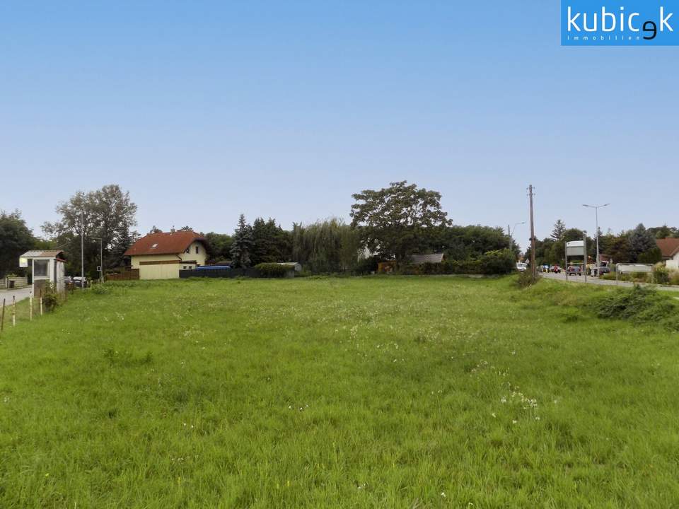 Attraktives Bauträgergrundstück mit vielseitigem Potenzial