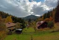 Solides Wohnhaus mit Potenzial in ruhiger Waldrandlage