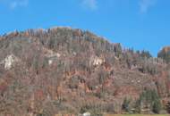 Landwirtschaft 11 ha, mit Hofstelle, Wald und Wiese