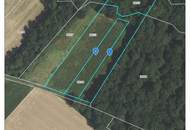 Landwirtschaftliche Grundstücke samt Wald in Stadtschlaining