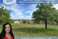 Schönes, sonniges Baugrundstück in der Gemeinde Sitzendorf!
