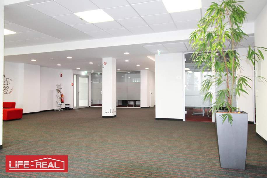 modernes, klimatisiertes, lichtdurchflutetes Start-Up Büro, Gewerbeobjekt-miete, 1.717,02,€, 4020 Linz(Stadt)
