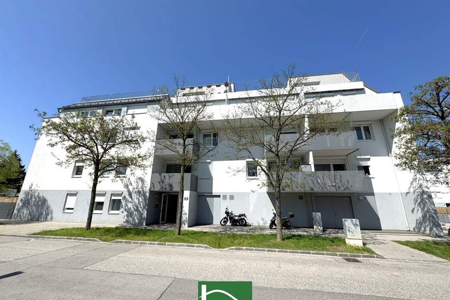 Das Beste aus Stadt und Natur! Wohnen im Herzen von Wiener Neustadt, Wohnung-miete, 675,00,€, 2700 Wiener Neustadt(Stadt)