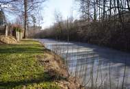 Geräumiges Wohnhaus mit großem Garten und angrenzendem Fischteich