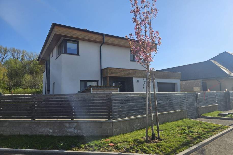 Lichtdurchflutetes Haus mit viel Platz!, Haus-kauf, 595.000,€, 2136 Mistelbach