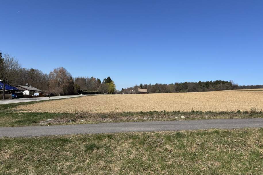 7.800 m² Baugrund in idyllischer Lage, umgeben von Rad-und Wanderwegen im mittleren Burgenland, Grund und Boden-kauf, 172.000,€, 7441 Oberpullendorf