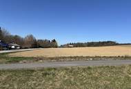 7.800 m² Baugrund in idyllischer Lage, umgeben von Rad-und Wanderwegen im mittleren Burgenland