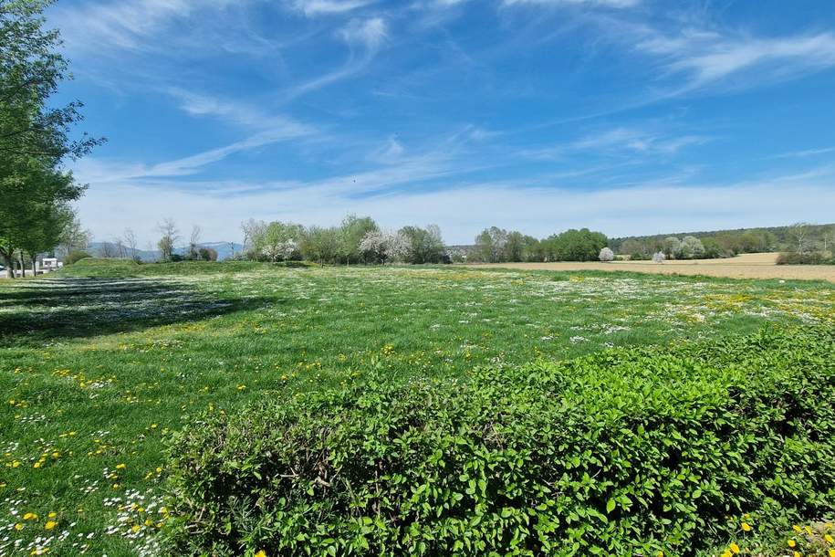 Grundstück für Sport oder Camping direkt neben dem See und Freizeitpark, Grund und Boden-kauf, 590.000,€, 8265 Hartberg-Fürstenfeld