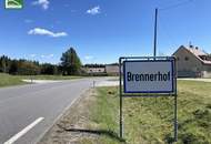 Aus alt mach neu - Historisches Einfamilienhaus in Alleinlage am Hügel in Bad Großpertholz mit großem Garten. - WOHNTRAUM