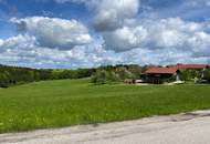 LEICHTE HANGLAGE MIT TRAUMAUSSICHT IN DIE NATUR
