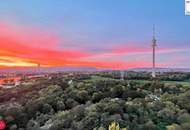 Wohnen über Wien ca.107m2 plus Loggia