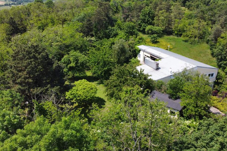 Alleinlage mit Blick auf das Schloss in Bratislava!, Haus-kauf, 1.100.000,€, 2413 Bruck an der Leitha