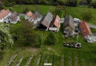 Romantischer Weinkeller mit Charme, Geschichte und Weingarten in traumhafter Ruhelage – Eisenberg/Südburgenland