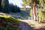 Ski-/Almhütte im Skigebiet Saalbach-Hinterglemm