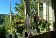 EINFAMILIENHAUS IN TRAUMHAFTER GRÜNRUHELAGE (Provisionsfrei)