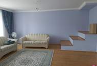 Großes Haus mit Blick auf die Donau! Mit 2 Wohneinheiten!