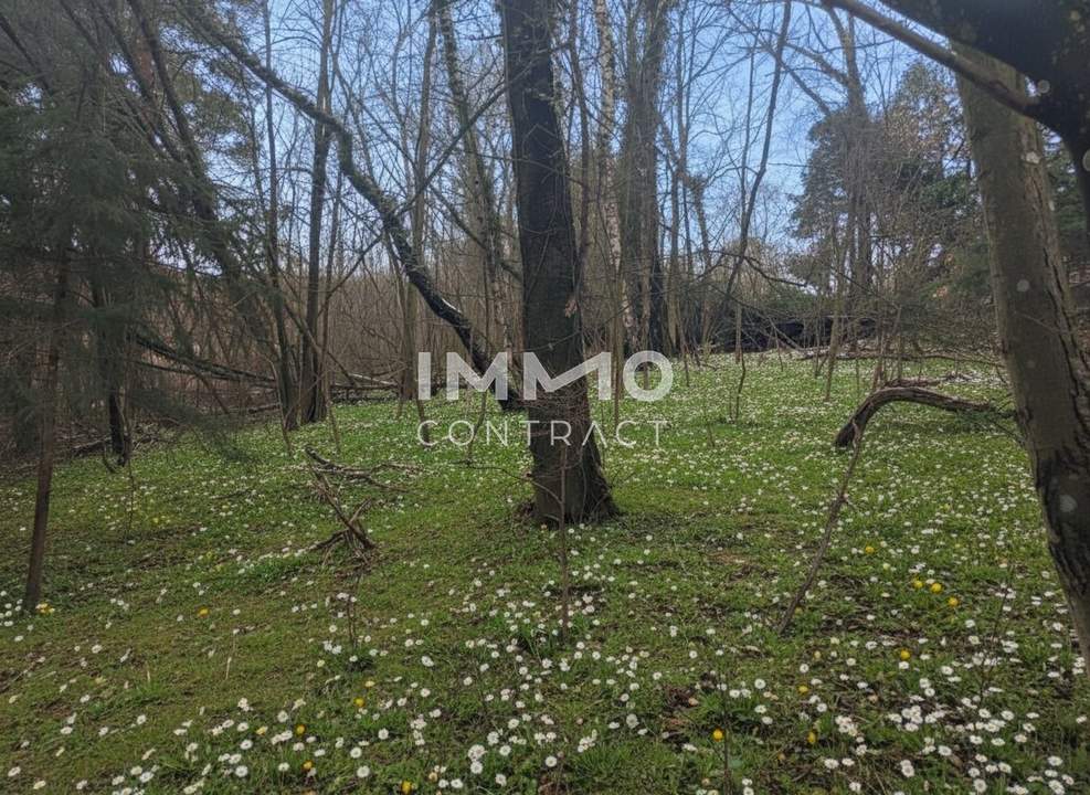 Ihr Traumgrundstück im Grünen! Gestalten Sie Ihr neues Zuhause zum absoluten Spitzenpreis!