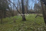 Ihr Traumgrundstück im Grünen! Gestalten Sie Ihr neues Zuhause zum absoluten Spitzenpreis!