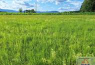 Sonniger Baugrund bei St. Ruprecht an der Raab -- zwischen Weiz & Gleisdorf
