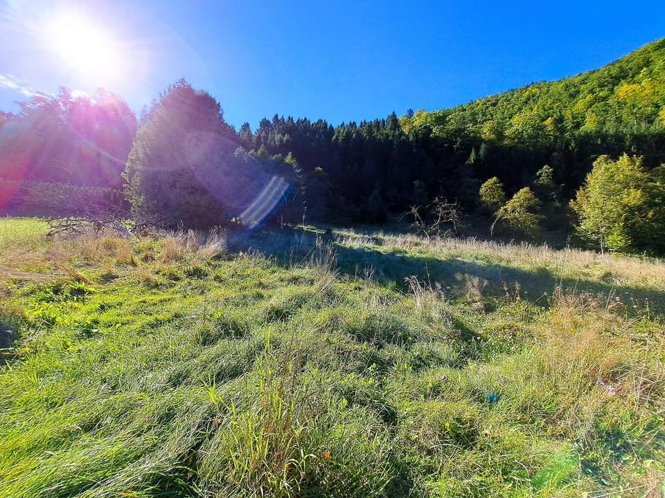 Großzügiges Baugrundstück in Reichraming