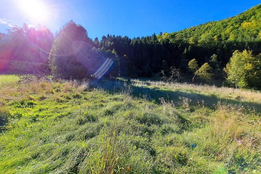 Großzügiges Baugrundstück in Reichraming, Grund und Boden-kauf, 187.920,€, 4462 Steyr-Land