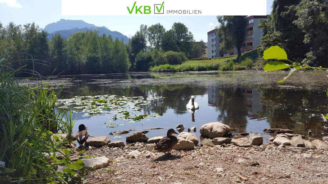 IDYLLISCHE GMUNDNER RANDLAGE MIT BERGPANORAMA