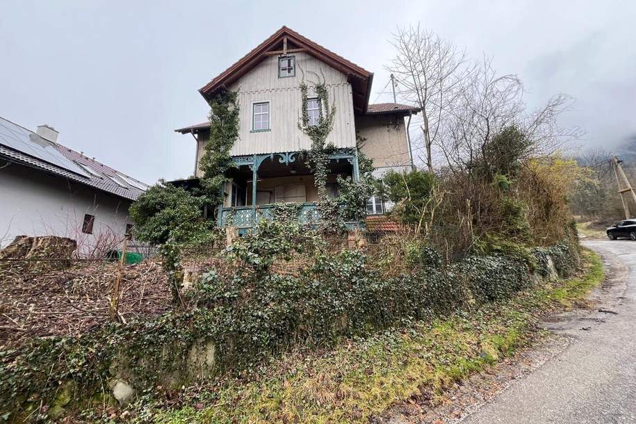 Sanierungsbedürftiges Haus auf großem Grundstück! Erwecken Sie es aus dem Dornröschenschlaf!, Haus-kauf, 199.000,€, 2640 Neunkirchen