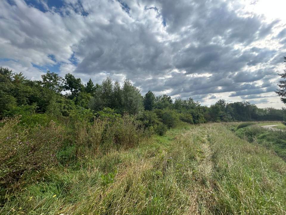 Baugrund in Kleinsitzendorf sucht Visionär - Traumgegend, Traumplatz, Traum wird wahr!