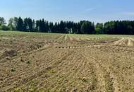 Attraktives Baugrundstück mit Entwicklungspotenzial – schöne Lage in St. Marein Nähe Wolfsberg