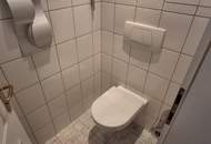 Wohnen wie eine Weltmeisterin. Miete. Traumhafte Maisonette-Wohnung direkt am Millstätter See. Privatstrand.