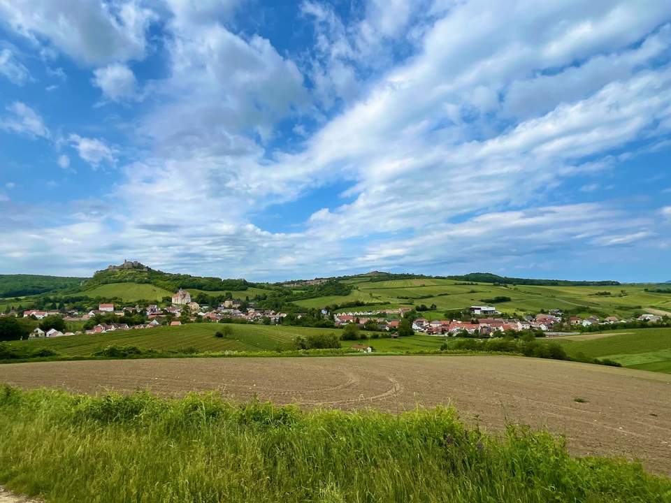 Winzerhaus im Weinort Falkenstein