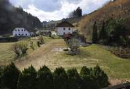 Mehr als ein Zuhause: Ein Refugium für Mensch und Tier - Zweifamilienhaus mit Doppelgarage und Stallgebäude