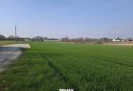Sonniger &amp; ebener Baugrund in Altheim ohne Bauzwang