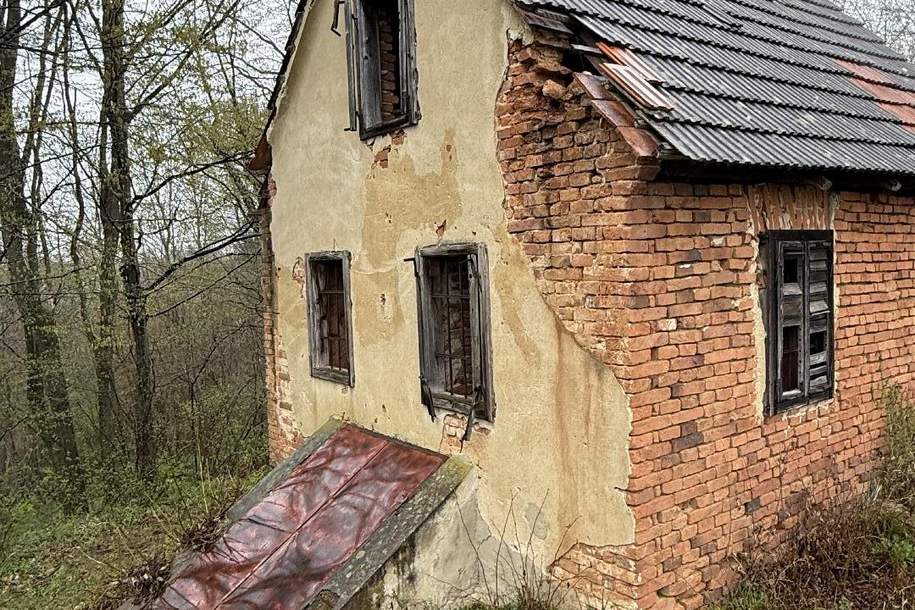 ALLEINLAGE - Kellerstöckl in der Südoststmk., Haus-kauf, 269.000,€, 8333 Südoststeiermark