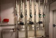 GARTENPARADIES - 9.000 M² - LANDHAUS IN PARKLANDSCHAFT NUR 30 MINUTEN VON WIEN