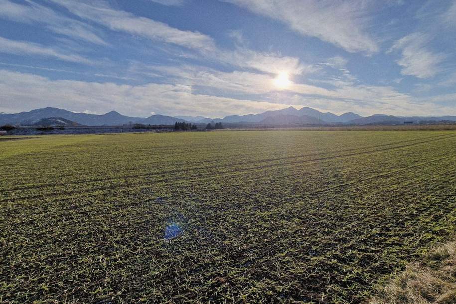 Attraktives Bauerwartungsland zur Entwicklung in Kühnsdorf – idealer Standort für Gewerbe &amp; Investitionen, Grund und Boden-kauf, 9141 Völkermarkt