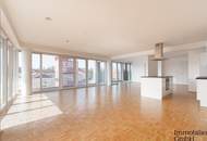 Moderne 2-Zimmer-Loftwohnung mit großzügiger Südterrasse in Linz nähe WIFI zu vermieten! (Top 52)