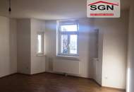 Wunderschöne helle 2-Zimmer komplett sanierte Altbauwohnung mit Ausblick an die Donau