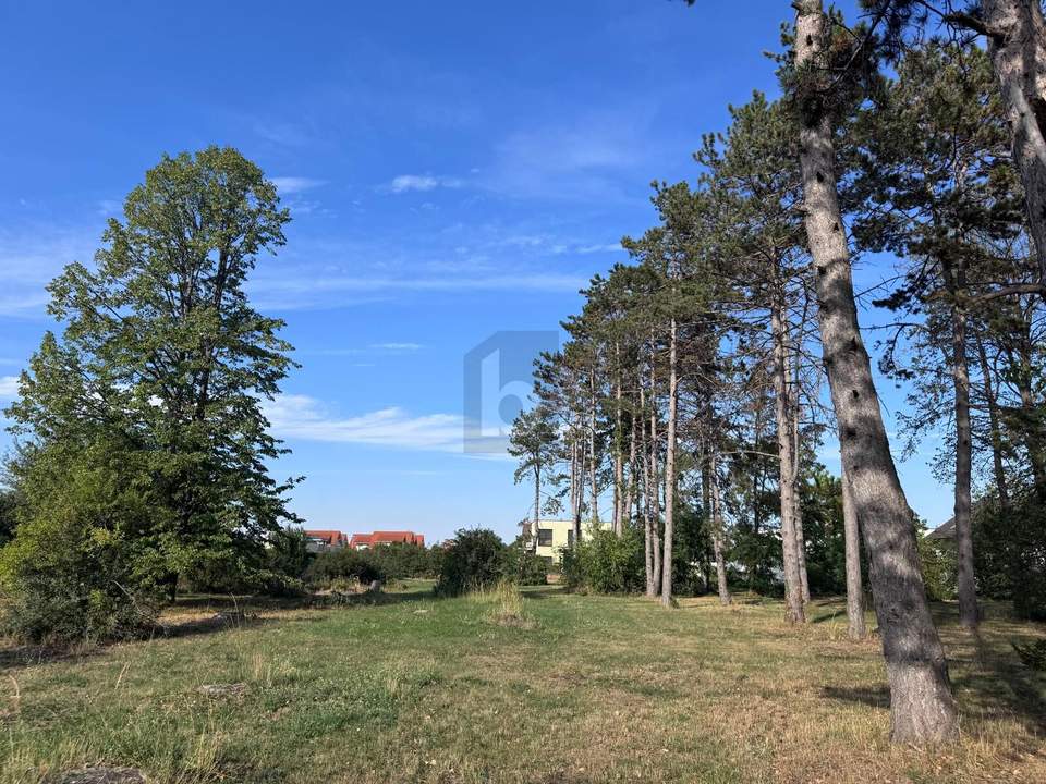 WOHNEN MIT FREIRAUM ? IN ATTRAKTIVER LAGE