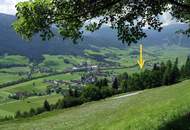 IHR PLATZ IM LUNGAU ? GRUNDSTÜCK MIT VIELSEITIGEM POTENZIAL IN UNTERNBERG